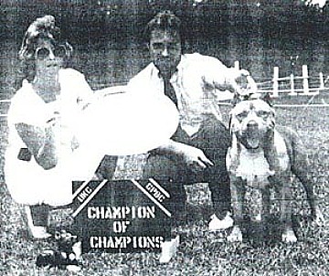 Dog Featured Image