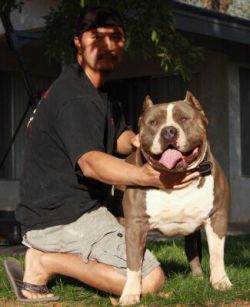 Dog Featured Image
