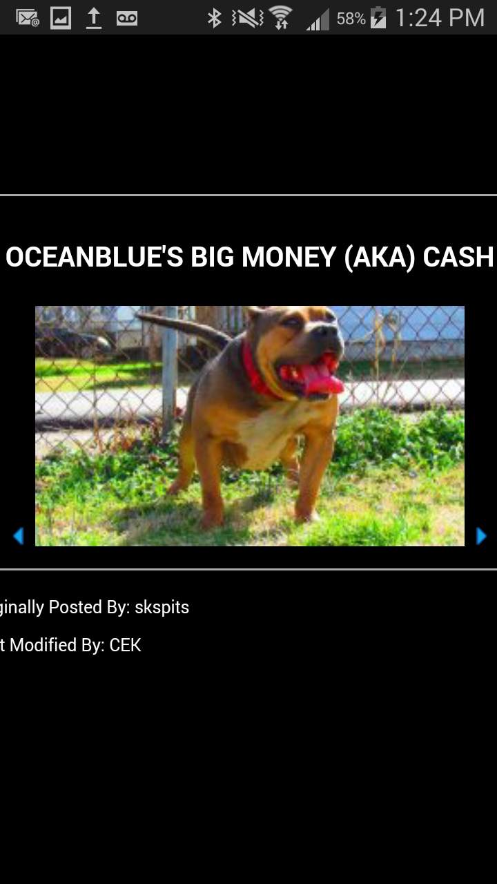 Dog Featured Image