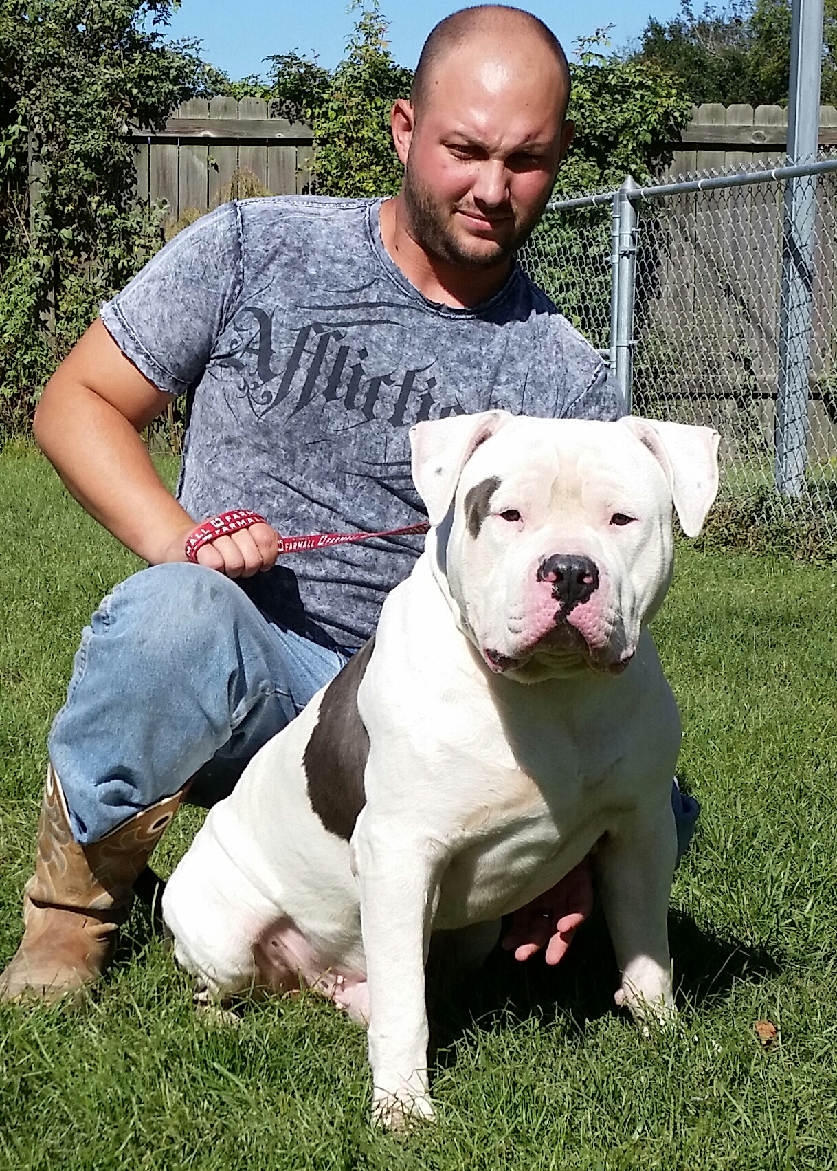 Dog Featured Image