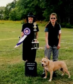 Dog Featured Image