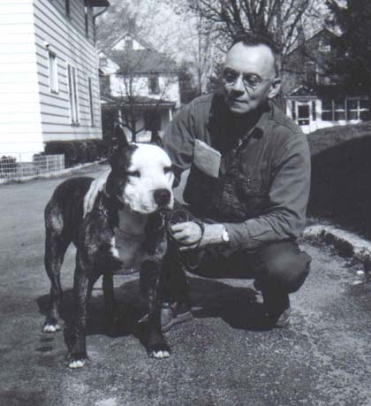 Dog Featured Image