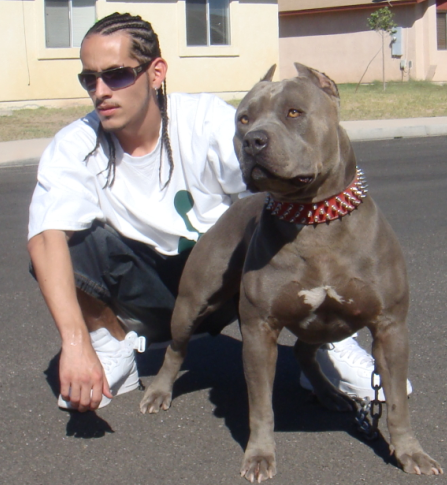 Dog Featured Image