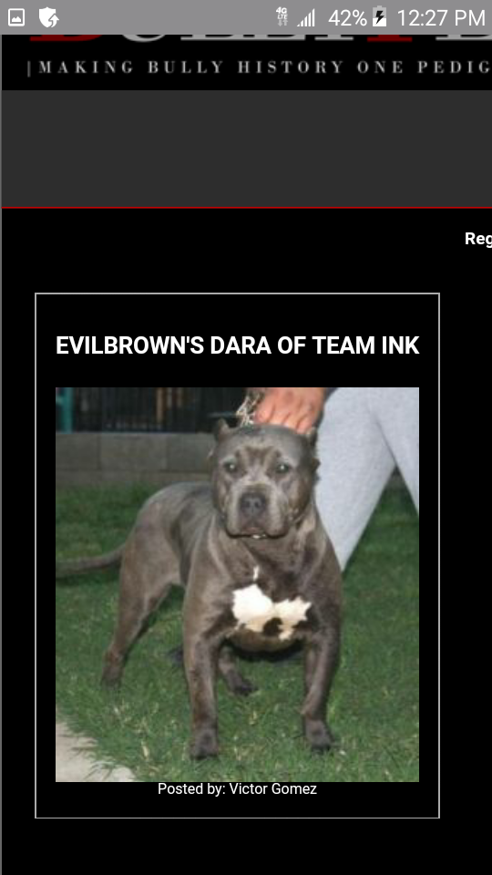 Dog Featured Image