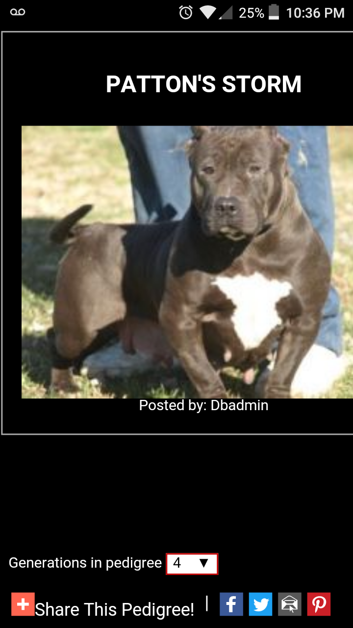 Dog Featured Image