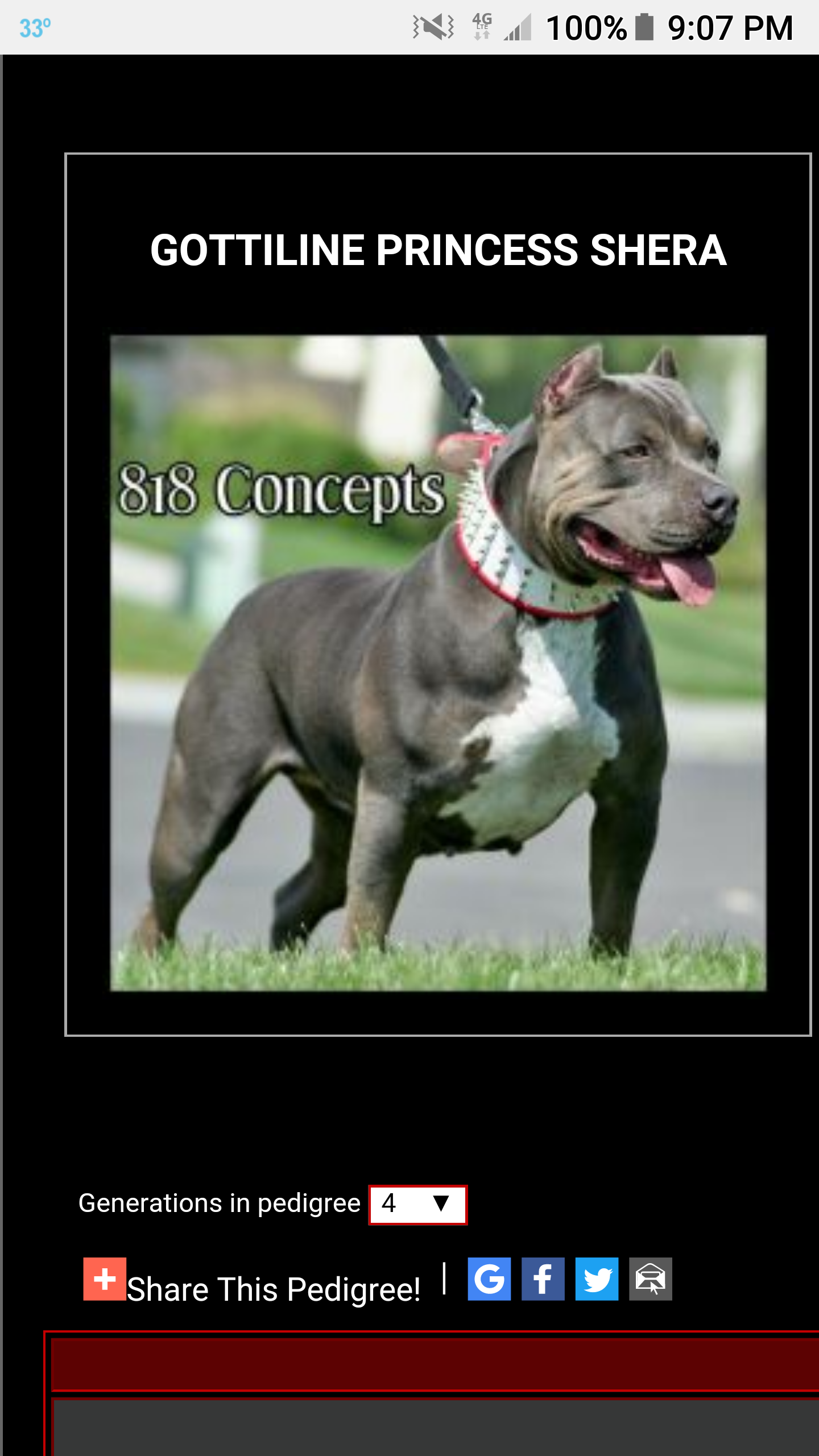 Dog Featured Image