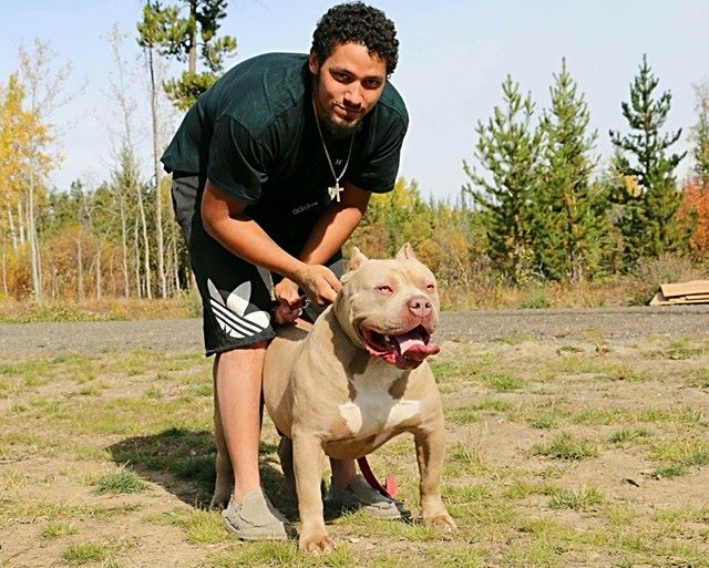Dog Featured Image