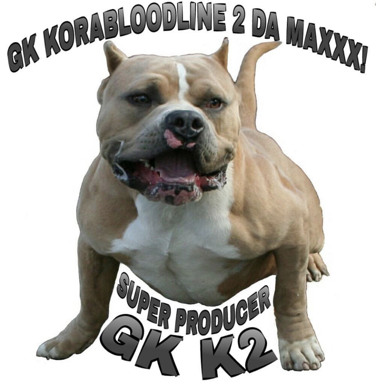 Dog Featured Image