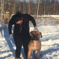 Dog Featured Image