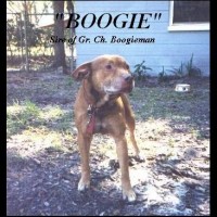 Gr Ch Caldwell S Boogieman Pitpedia
