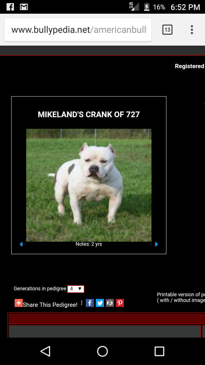 Dog Featured Image