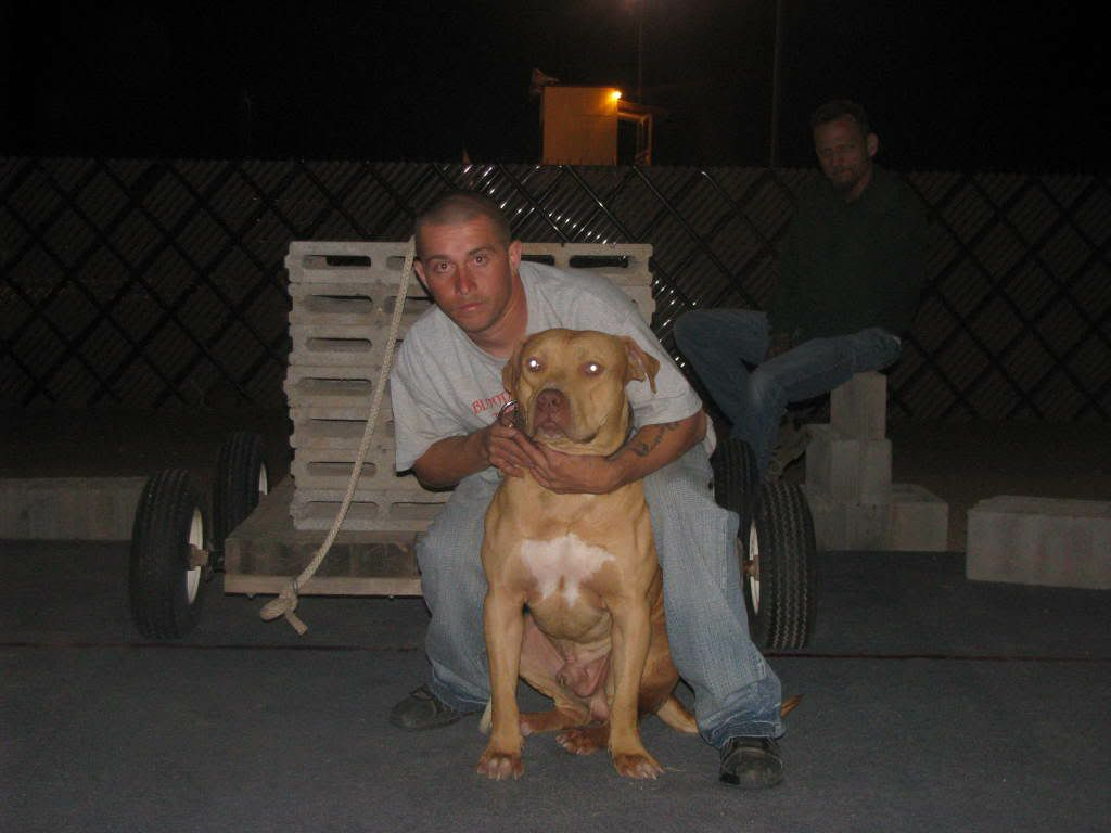 Dog Featured Image
