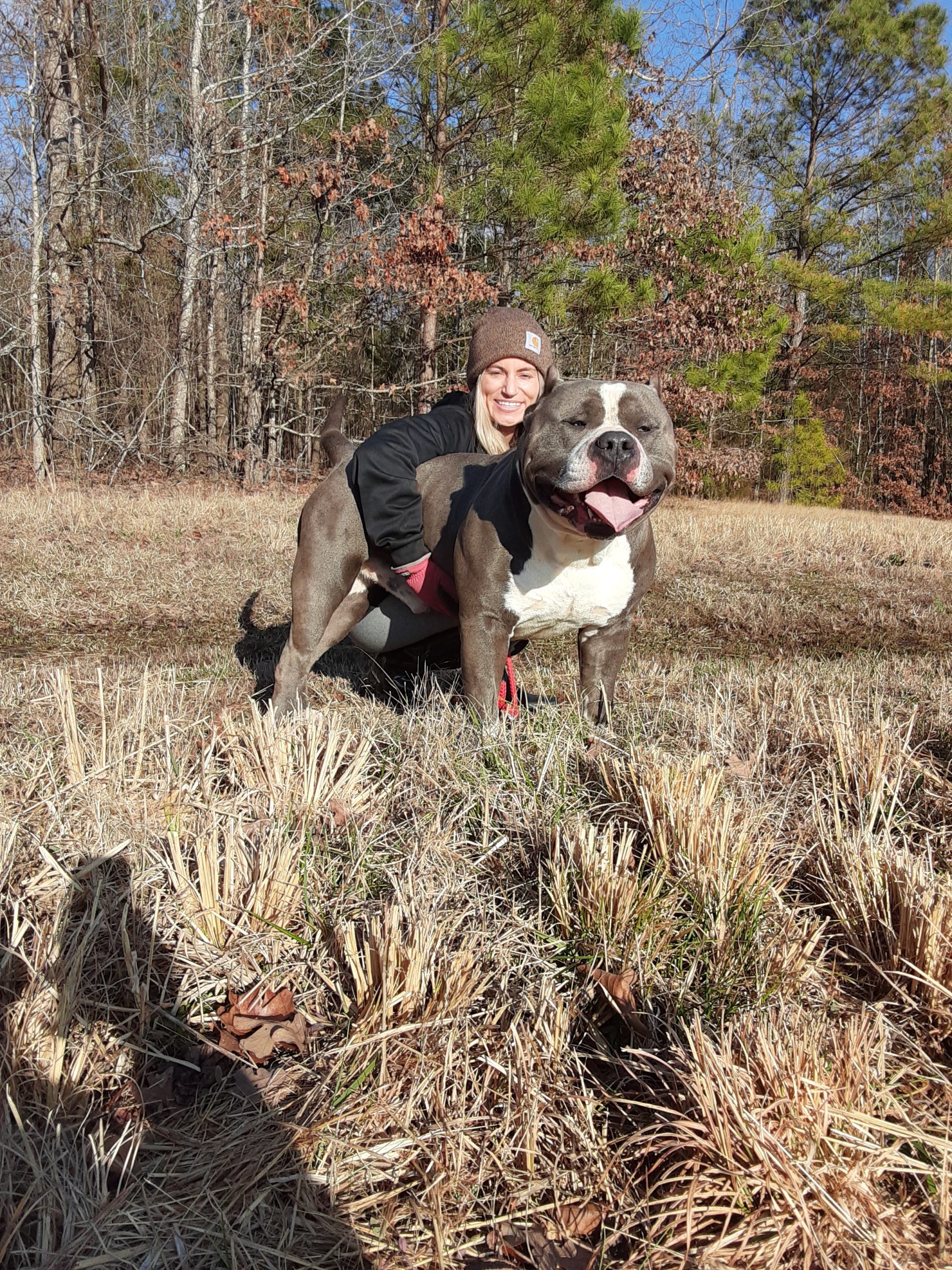 Dog Featured Image