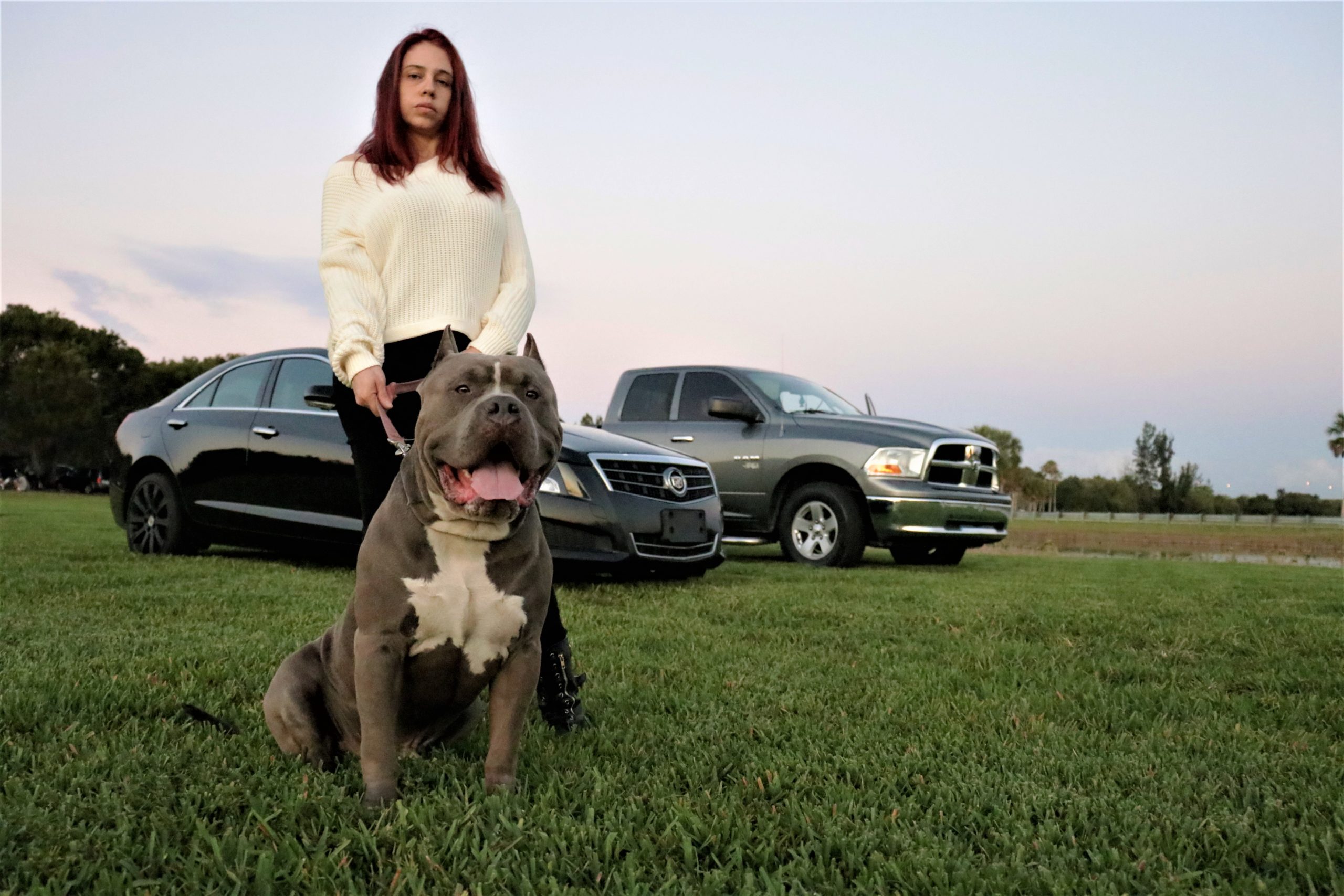 Dog Featured Image