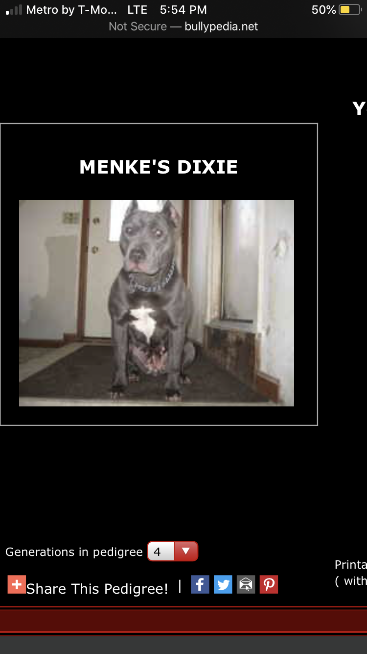 Dog Featured Image