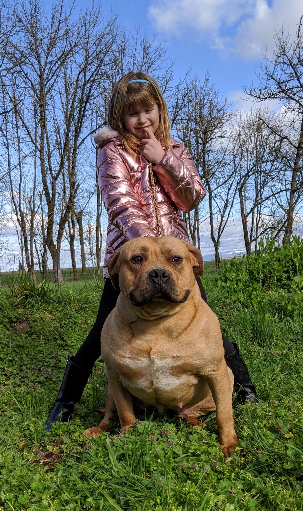 Dog Featured Image