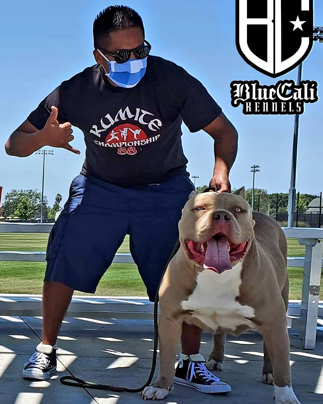 Dog Featured Image
