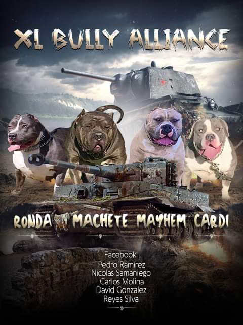 Dog Featured Image