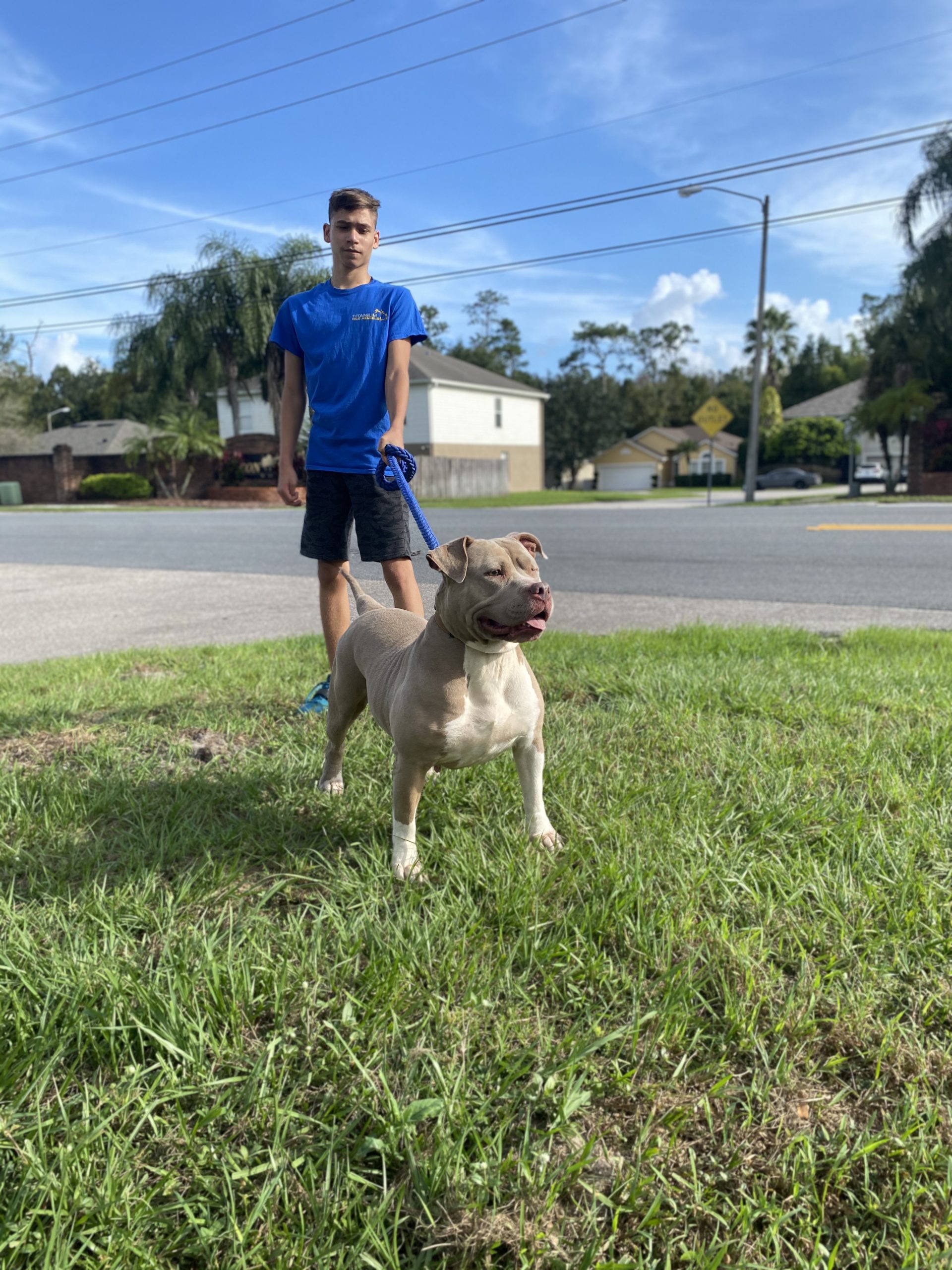 Dog Featured Image