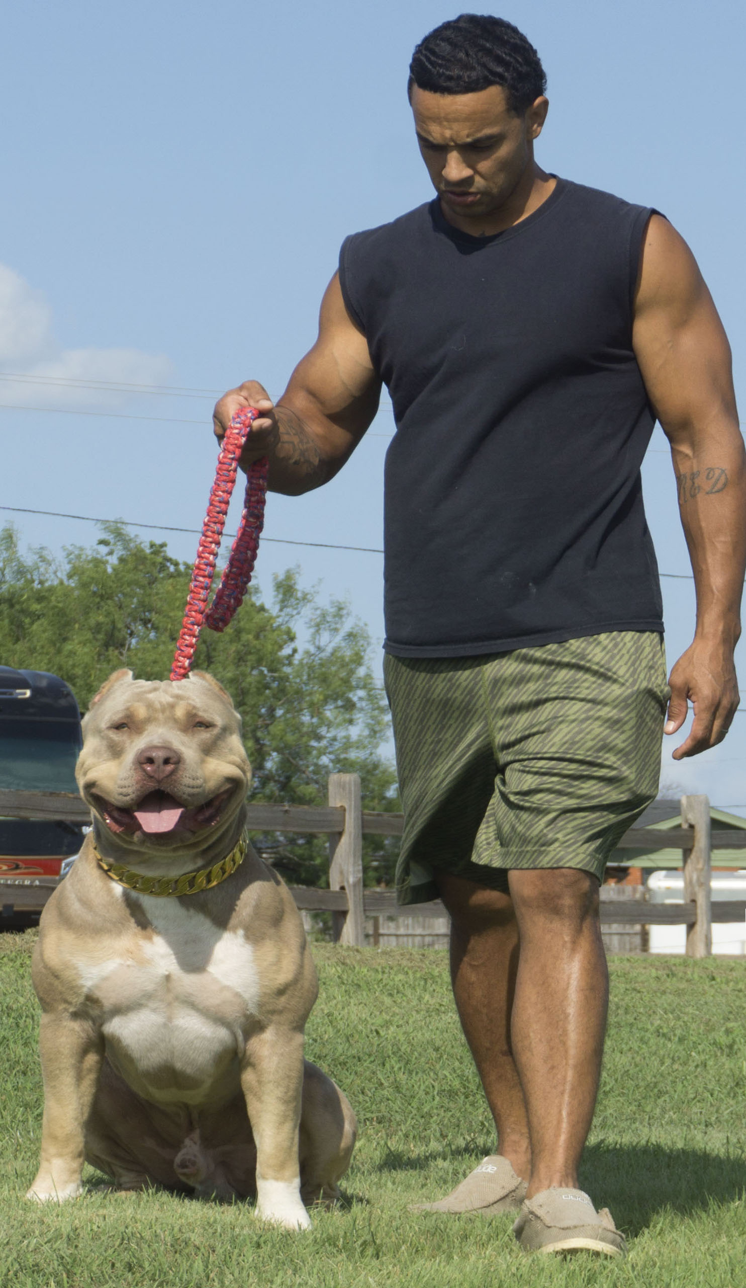 Dog Featured Image
