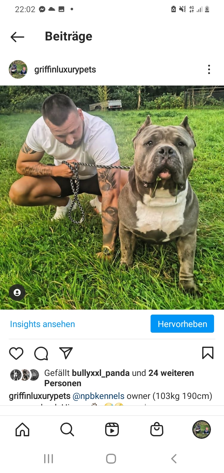 Dog Featured Image