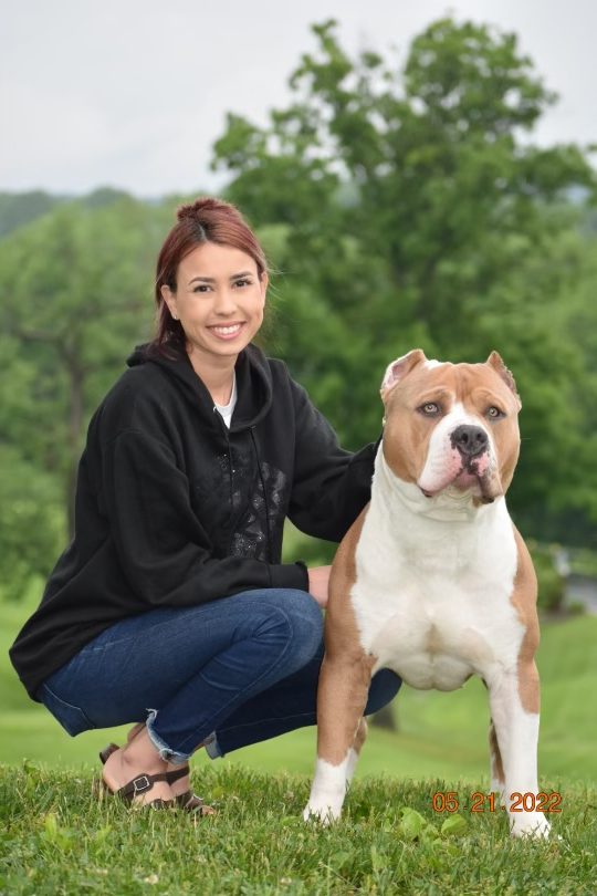 Dog Featured Image