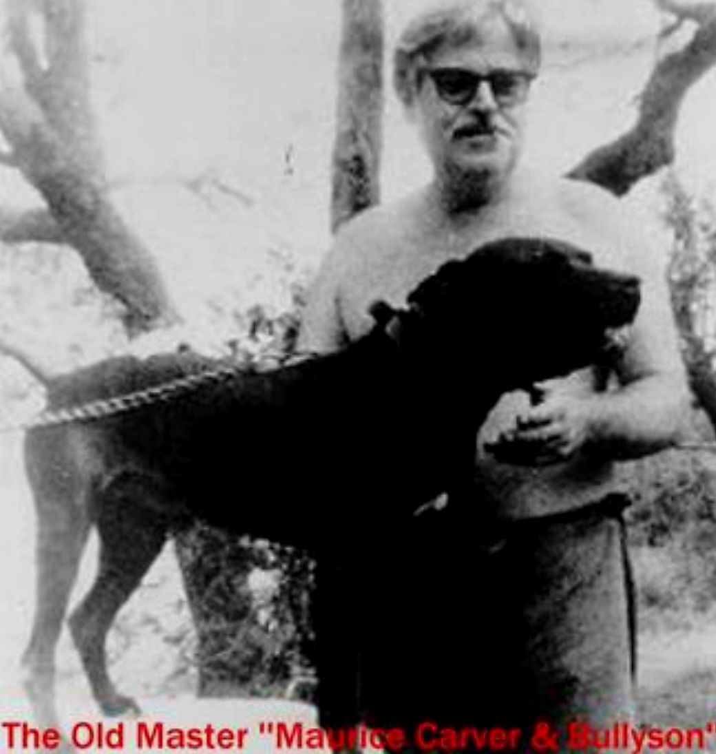 Dog Featured Image