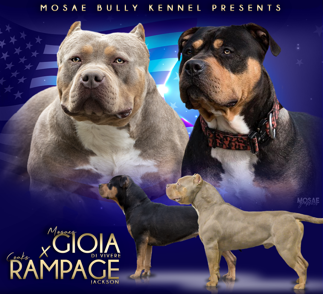 Dog Featured Image