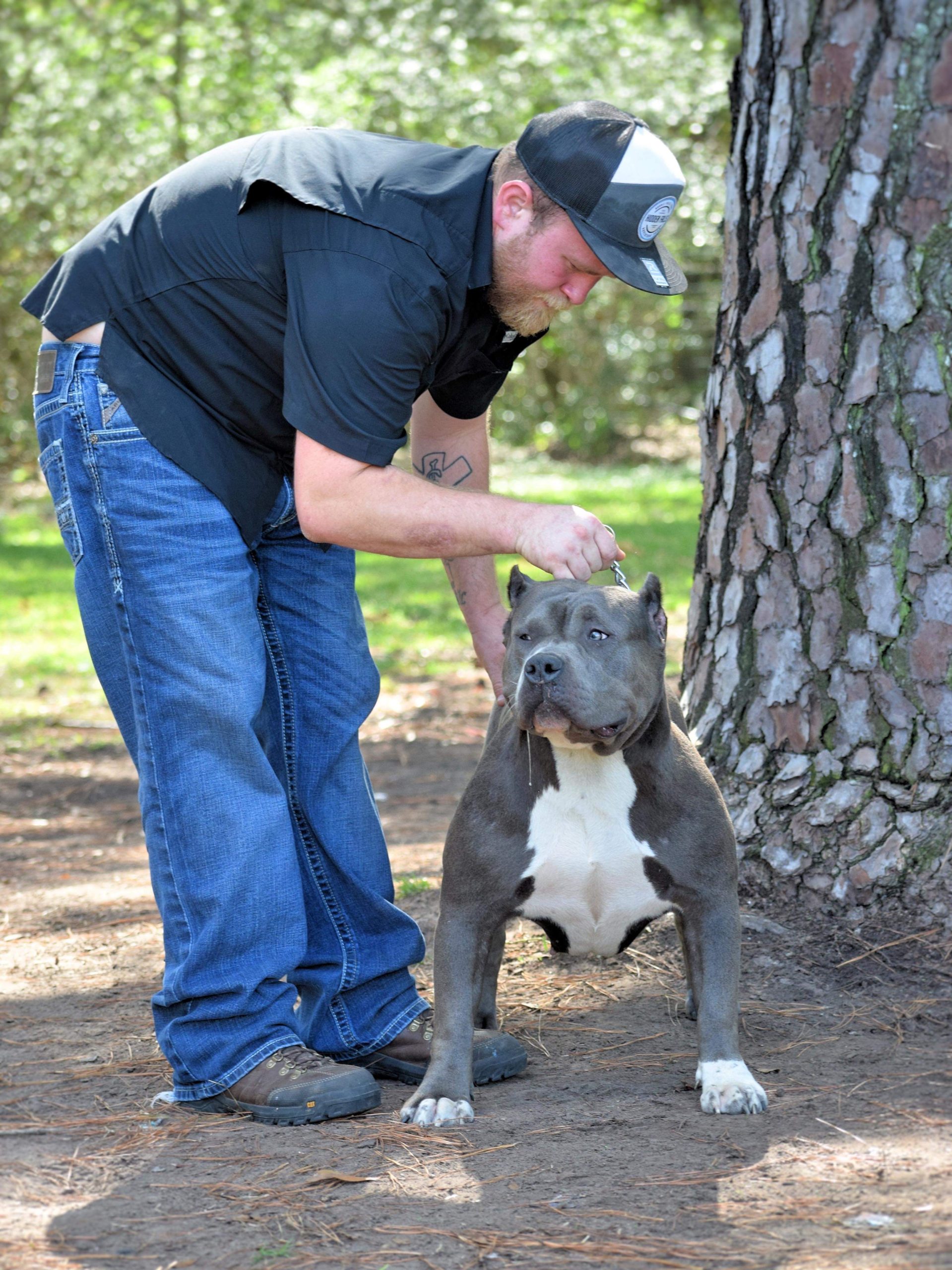 Dog Featured Image