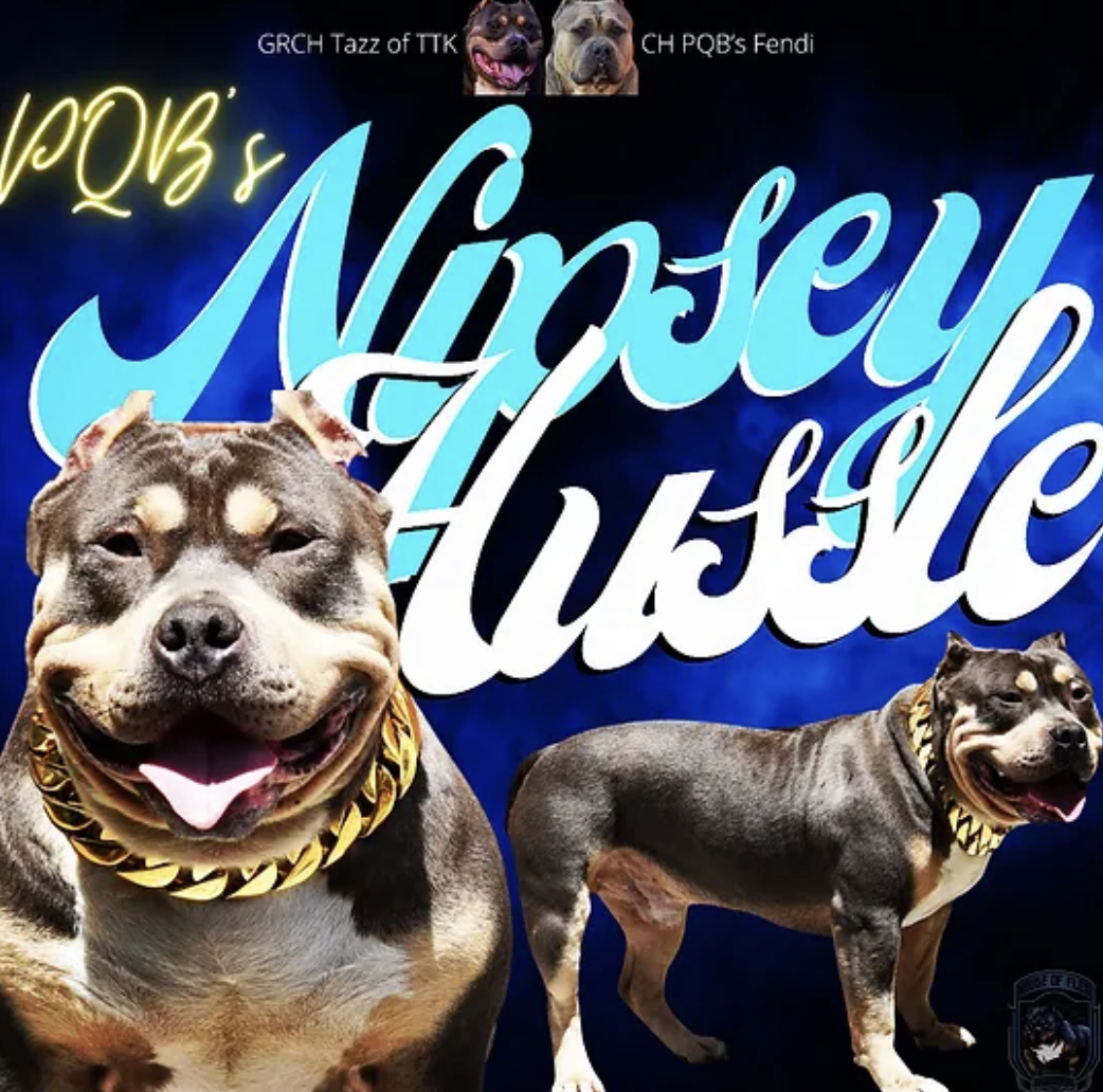 Dog Featured Image