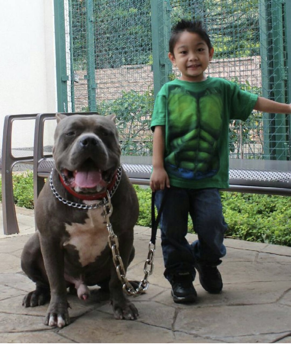 Dog Featured Image