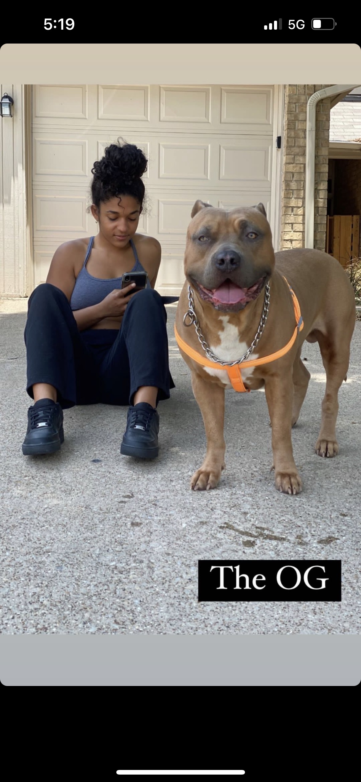 Dog Featured Image