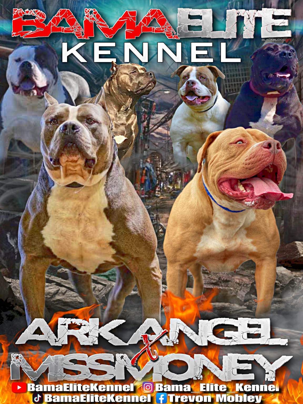 Dog Featured Image