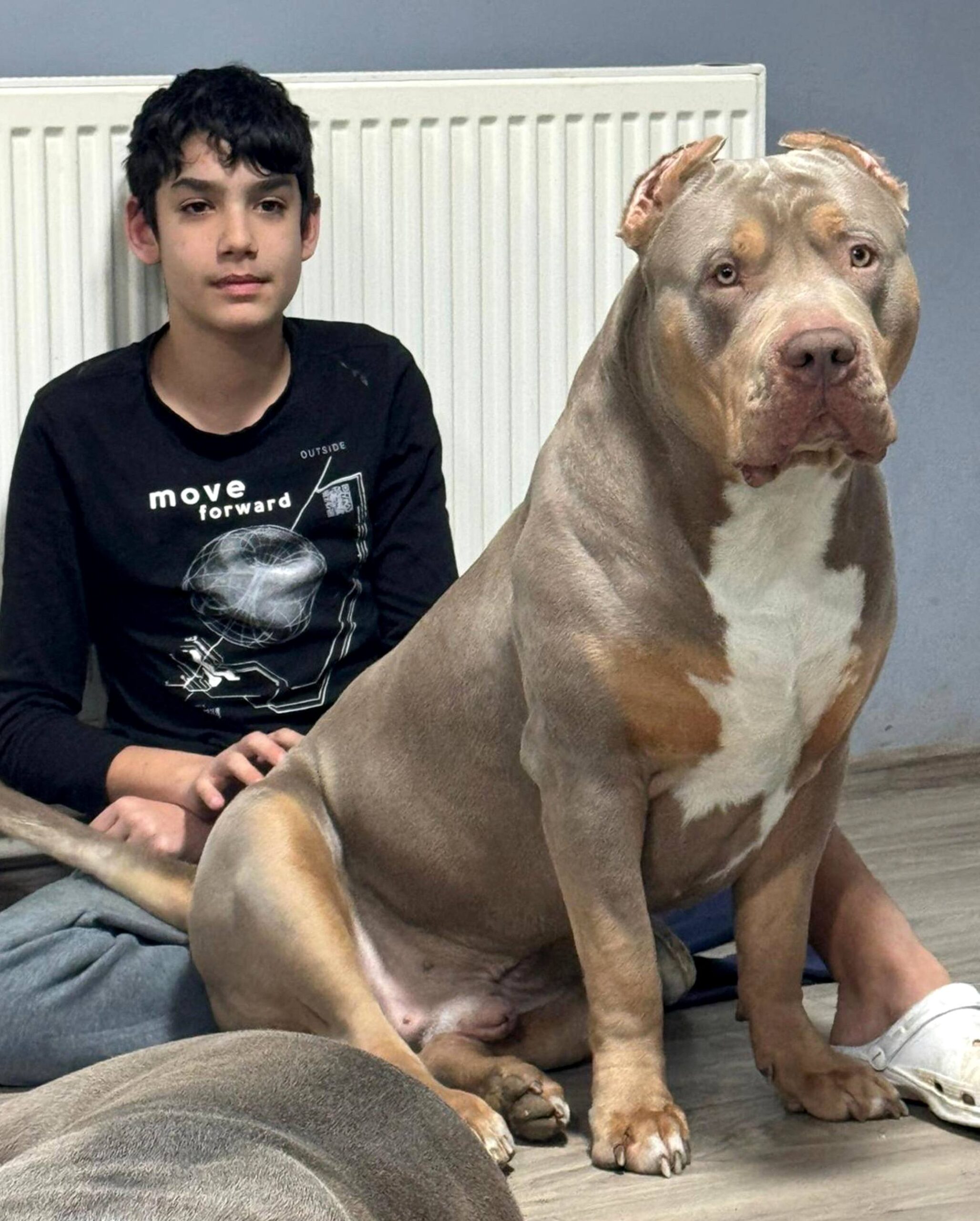 Dog Featured Image