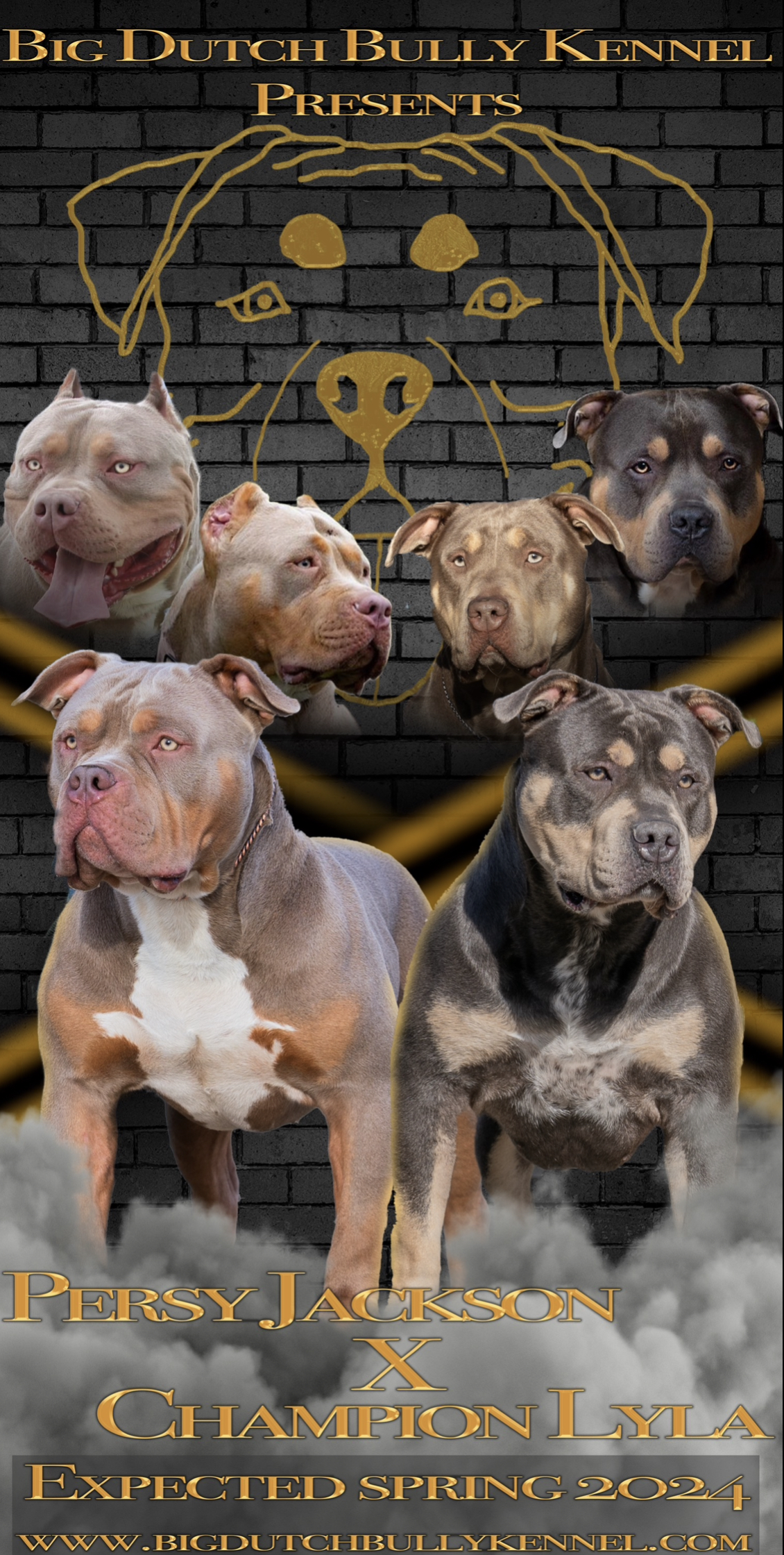 Dog Featured Image