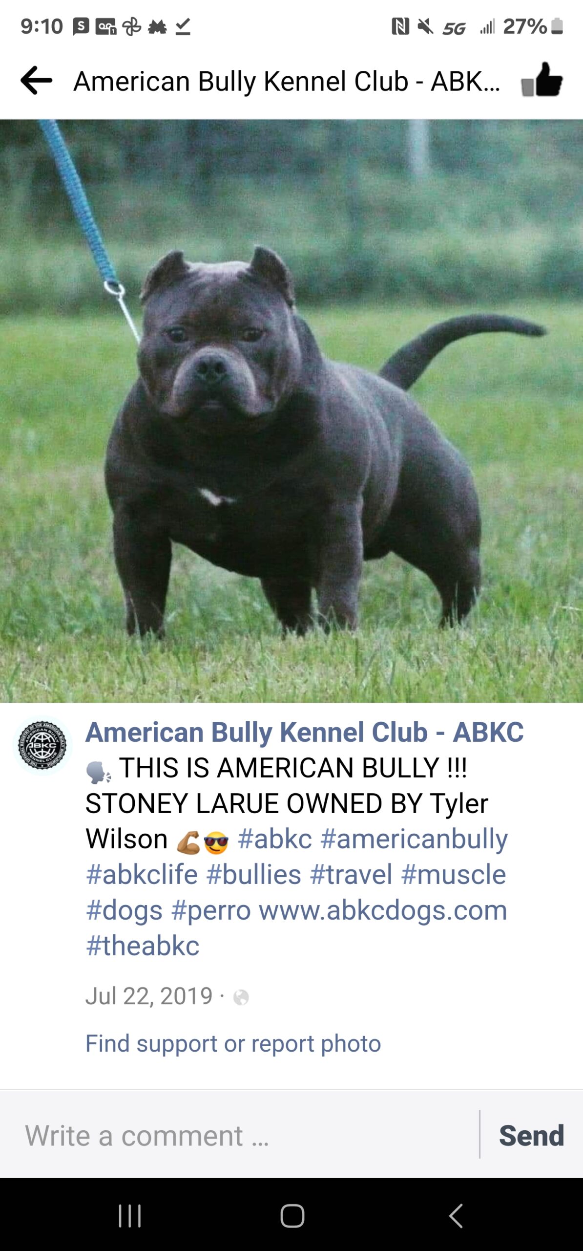 Dog Featured Image